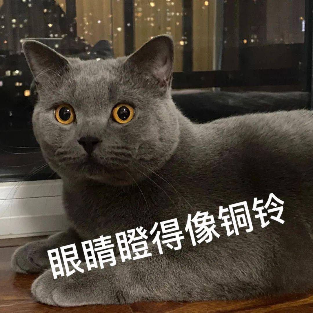 皇冠信用盘代理出租_以案释法丨房屋卖家“绕开”中介成交中介索赔违约金皇冠信用盘代理出租,为何被法院驳回?