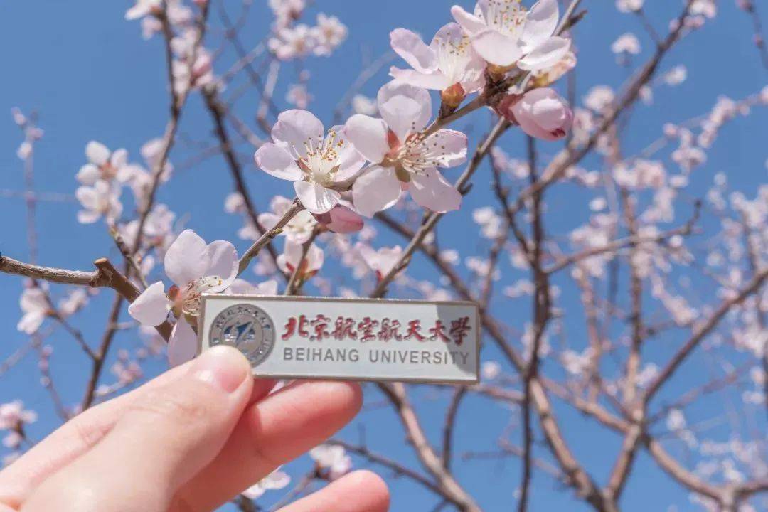 新2备用网址_明天中午12:00新2备用网址,出分!