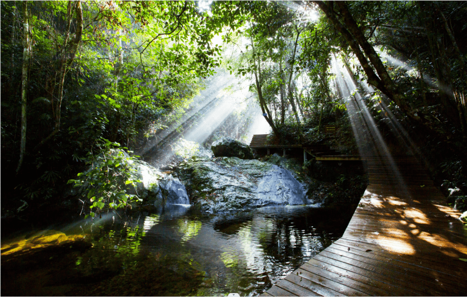皇冠信用网登3代理_海南热带雨林国家公园有了“户口本”皇冠信用网登3代理!