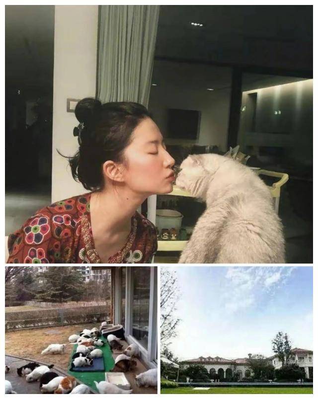 皇冠足球平台申请_某明星美籍身份遭作家痛批皇冠足球平台申请,身价超20亿,不弃美籍疑因高额弃籍税