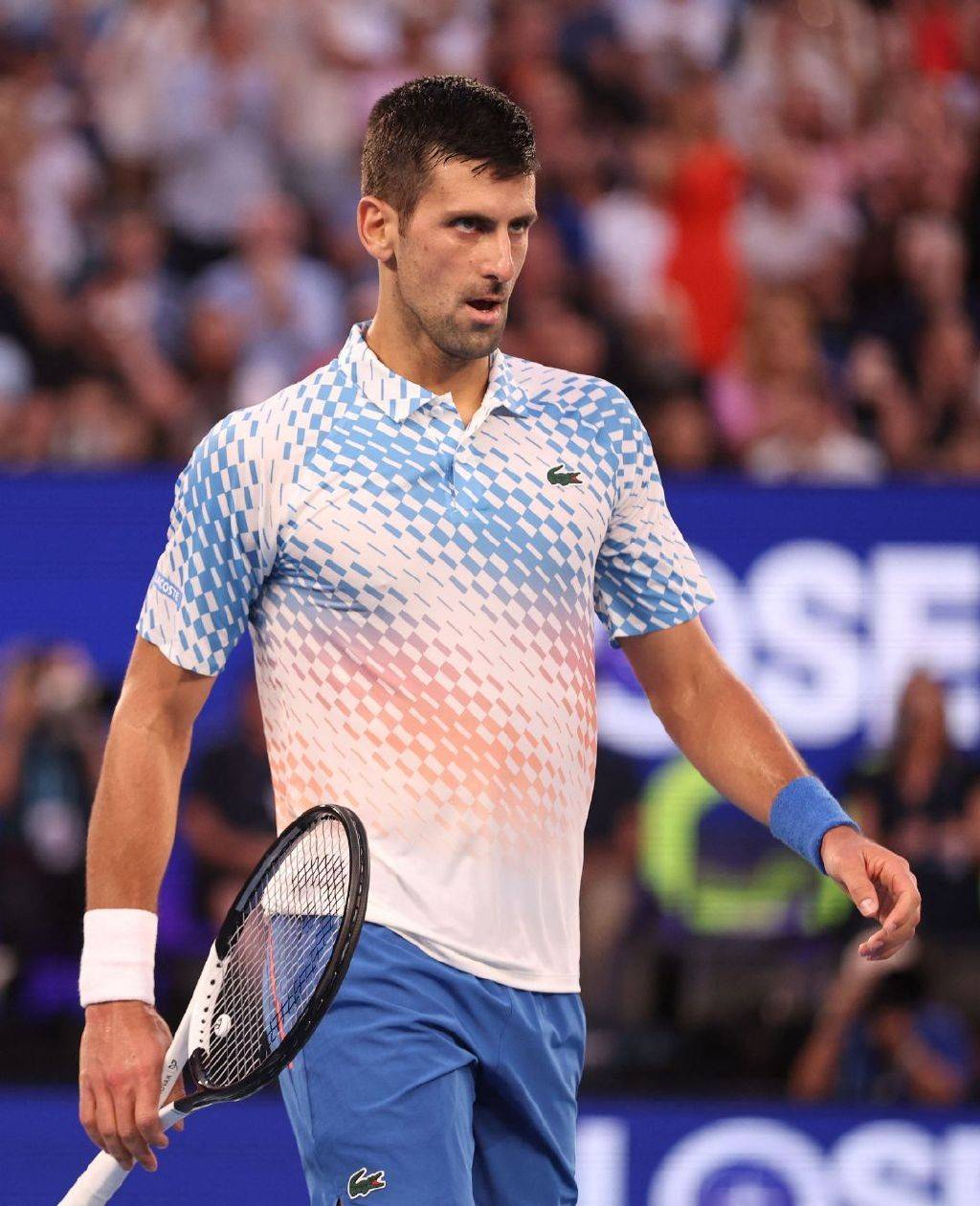 体育皇冠信用盘_36岁网坛传奇太强了!德约科维奇40连胜体育皇冠信用盘,拿768万奖金冲进第十澳网