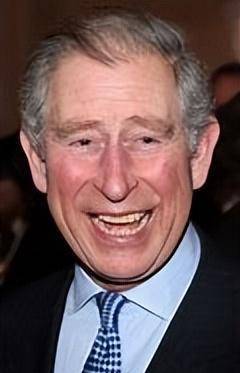 皇冠代理登1,2,3_王室的颜值会越来越高么皇冠代理登1,2,3?