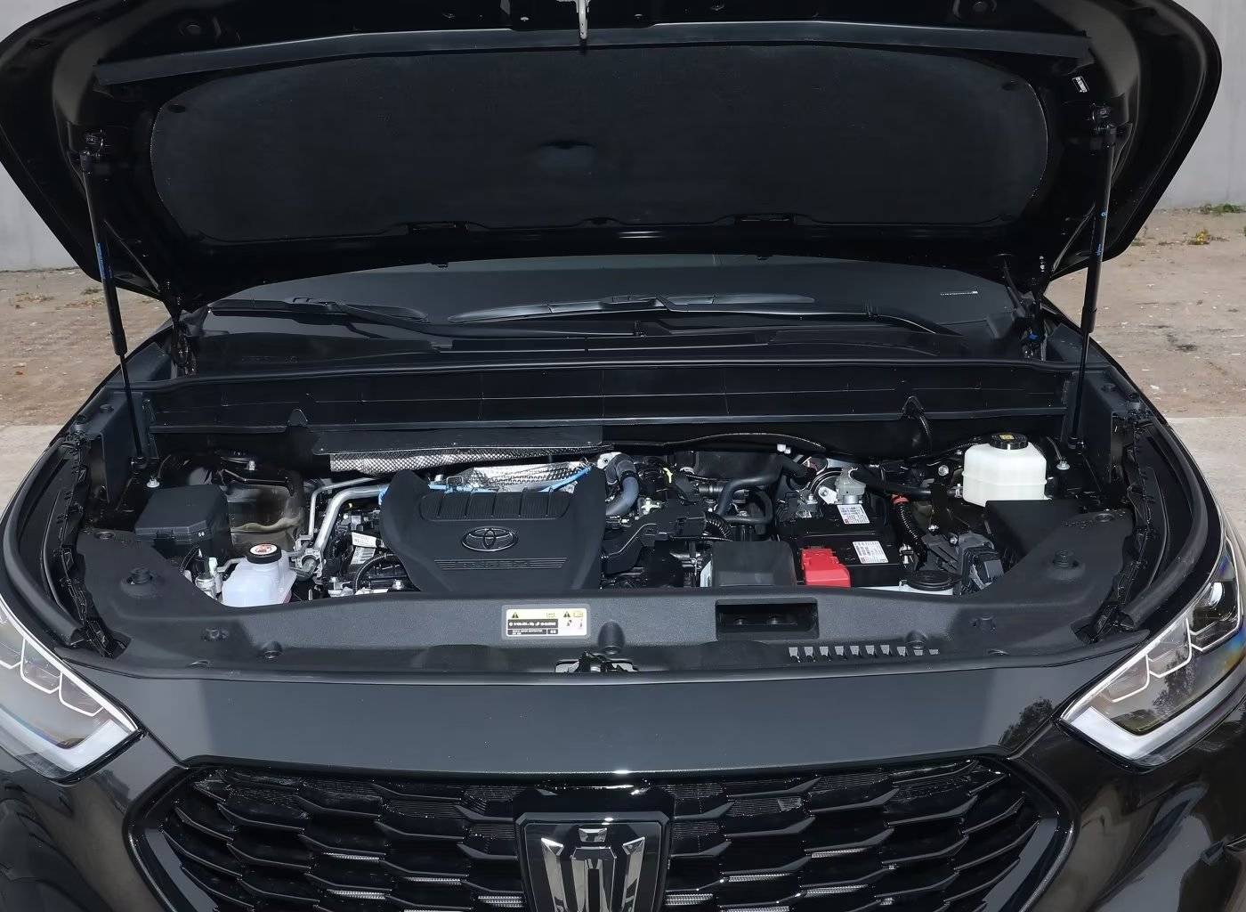 怎么开皇冠信用_皇冠陆放最新优惠价格是多少怎么开皇冠信用,长久有效,一群已满,二群已加384人