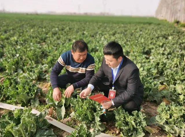 皇冠信用盘在线开户_推动农村金融服务创新皇冠信用盘在线开户,远程视频银行可以这么干!