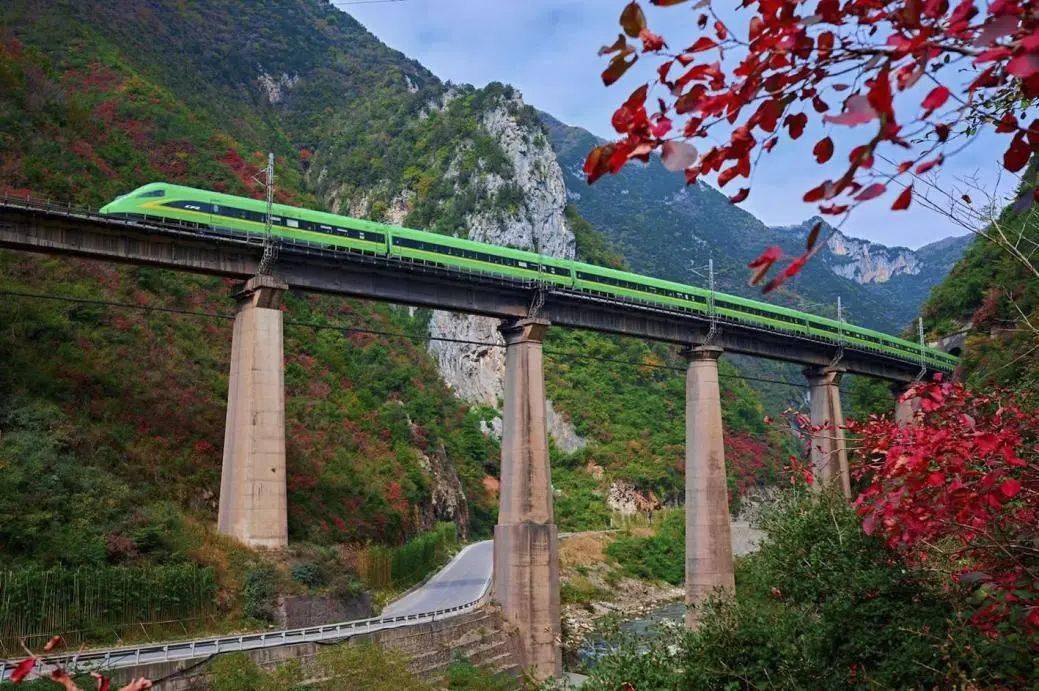 正网皇冠信用网_《人民网》关注万源:赏叶正当时