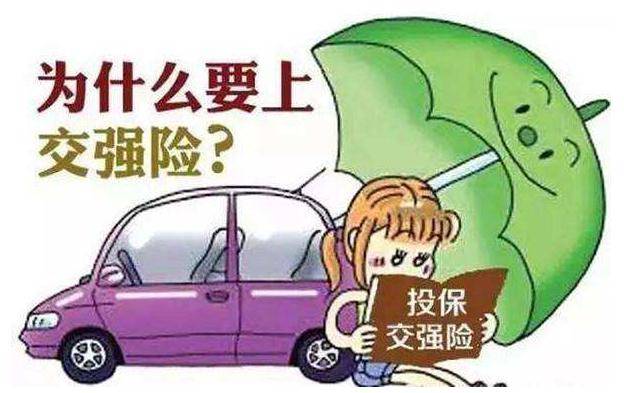 手机怎么买篮球投注_手机上买交强险怎么买手机怎么买篮球投注,怎么查自己车的交强险电子保单