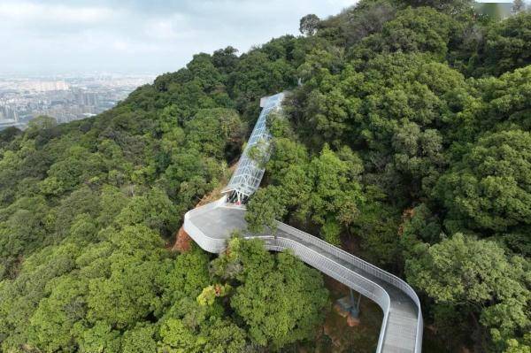 皇冠信用网登2_“无痛”登白云山皇冠信用网登2!摩星岭步步高观光扶梯2月5日免费开放