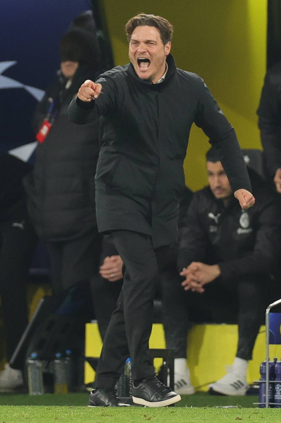 多特蒙德足球_足球——欧冠联赛:多特蒙德晋级八强