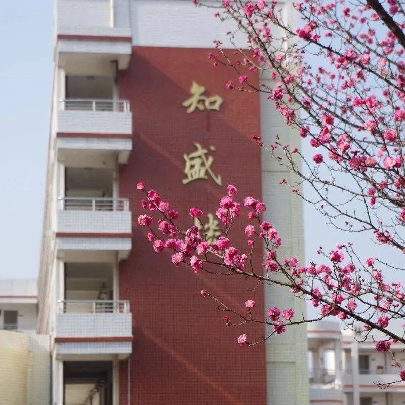 皇冠官网网址_芦溪中学学校官网是什么皇冠官网网址,学校教学模式、教学特色,学校官网网址,公众号