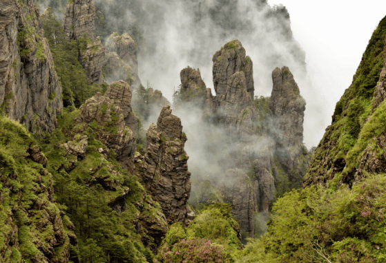 皇冠信用网登1_楚天纪游1:登神农架