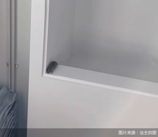 皇冠信用网在线注册_老鼠乱窜、直饮水发黄皇冠信用网在线注册,北京业主千万元买的和锦诚园居然是这样