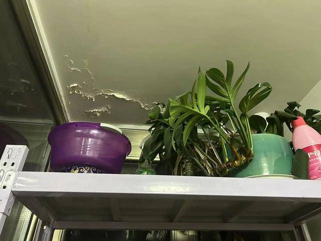 皇冠信用平台出租出售_海淀一居民阳台屋顶频繁漏水皇冠信用平台出租出售,竟是楼上把阳台改成了卫生间