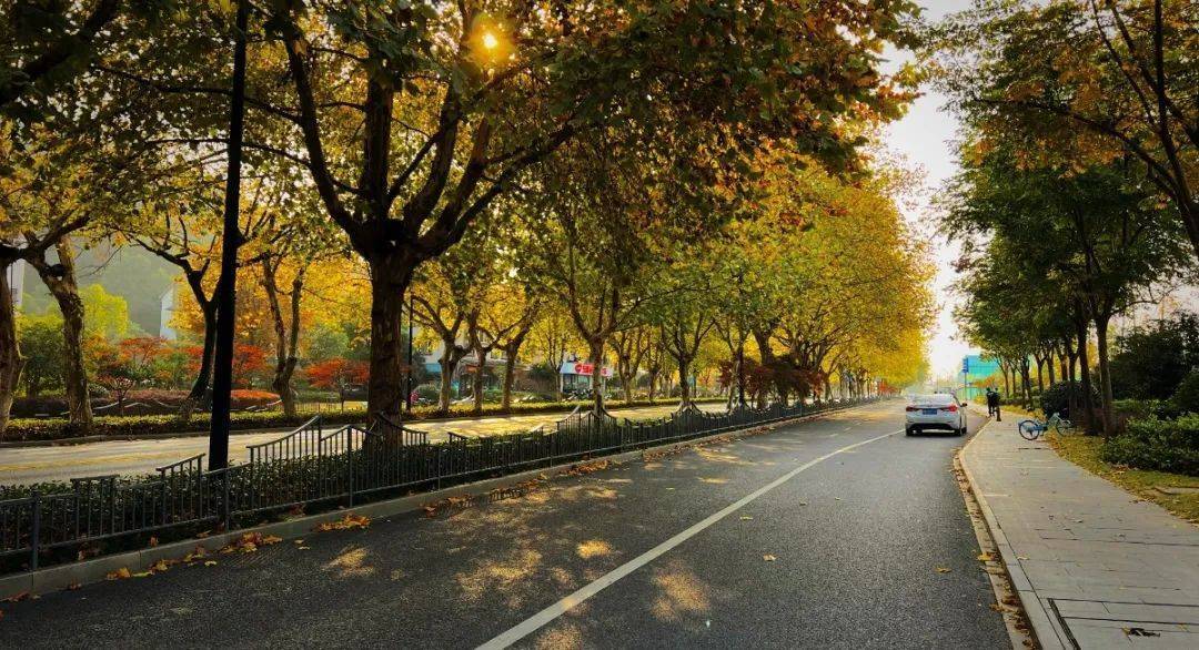 皇冠信用網在哪里开通_零下3℃!杭州人挺住皇冠信用網在哪里开通,连续两波!羽绒服要准备了……