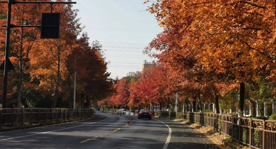 皇冠信用網在哪里开通_零下3℃!杭州人挺住皇冠信用網在哪里开通,连续两波!羽绒服要准备了……