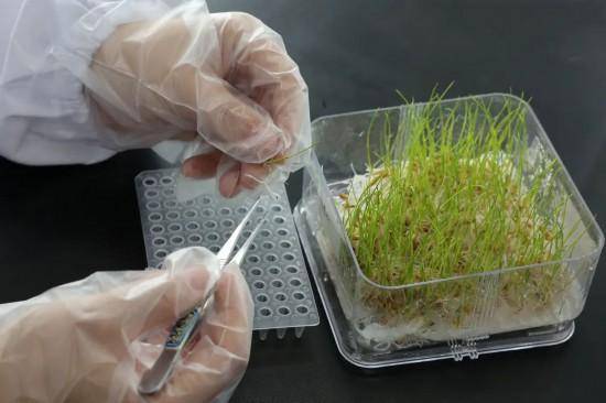 亚洲杯比分分析_超300万吨!合肥亚洲杯比分分析,“饭碗”端得越来越牢