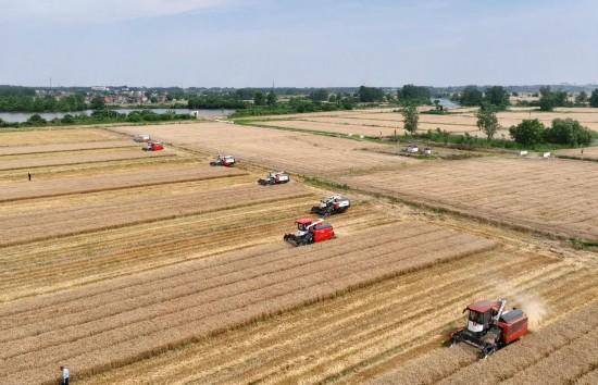 亚洲杯比分分析_超300万吨!合肥亚洲杯比分分析,“饭碗”端得越来越牢