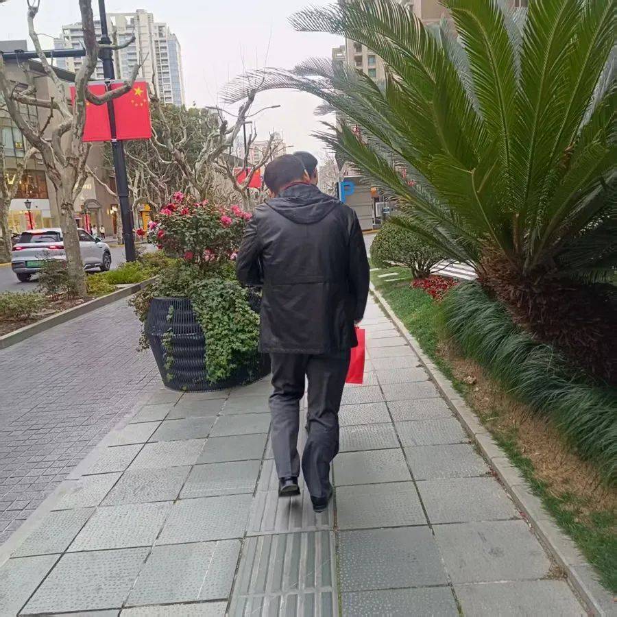 皇冠信用网平台开户_不是扎脸就是扎头皇冠信用网平台开户,还有毒!上海街头这种行道树合适吗?