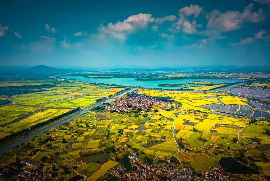 皇冠信用网APP下载_无锡市委书记杜小刚、苏州市委书记刘小涛、淮安市委书记史志军、扬州市委书记王进健、镇江市委书记马明龙带队参加植树活动