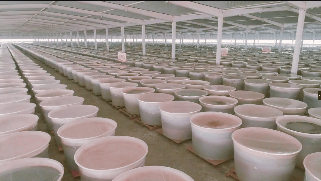 皇冠信用网登2代理
_登上“一带一路”中欧专列皇冠信用网登2代理
,恒利康酵素产品进军欧洲市场