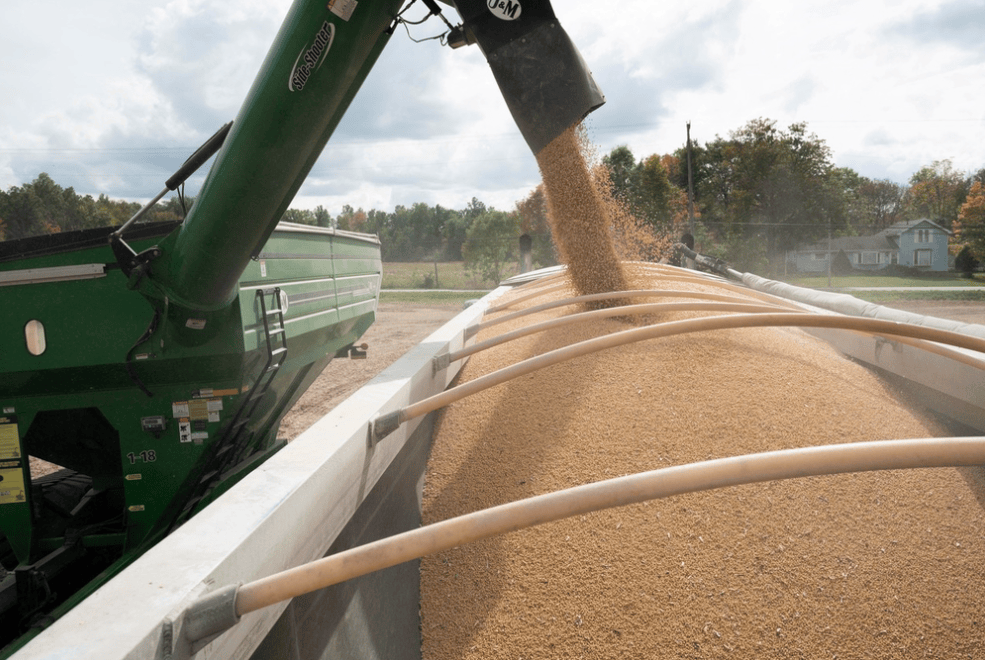 皇冠信用網代理登3_加606%的关税！特朗普对中国下狠手皇冠信用網代理登3，“最大输家”浮出水面，果然不简单