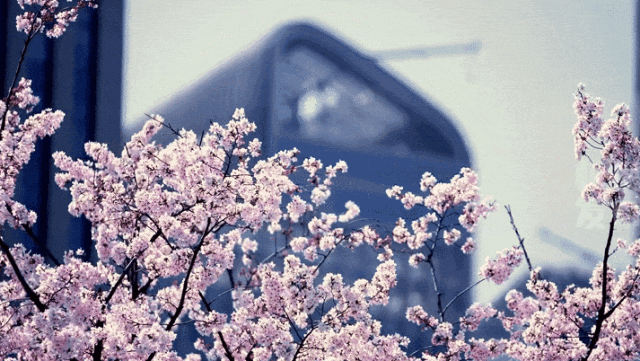 皇冠信用網占成代理
_最新确认:今夜抵达杭州皇冠信用網占成代理
!断崖式暴跌!下暴雨、冰雹、强雷电……