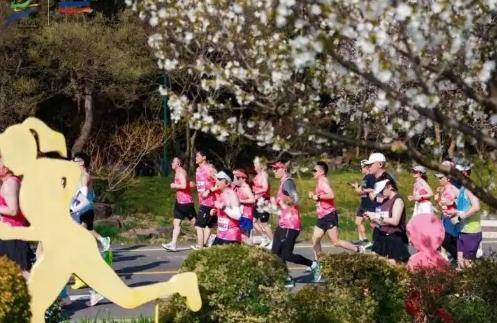 皇冠信用网出租
_马拉松职业“私兔”最高月入4万 从熟人搭子到有偿服务