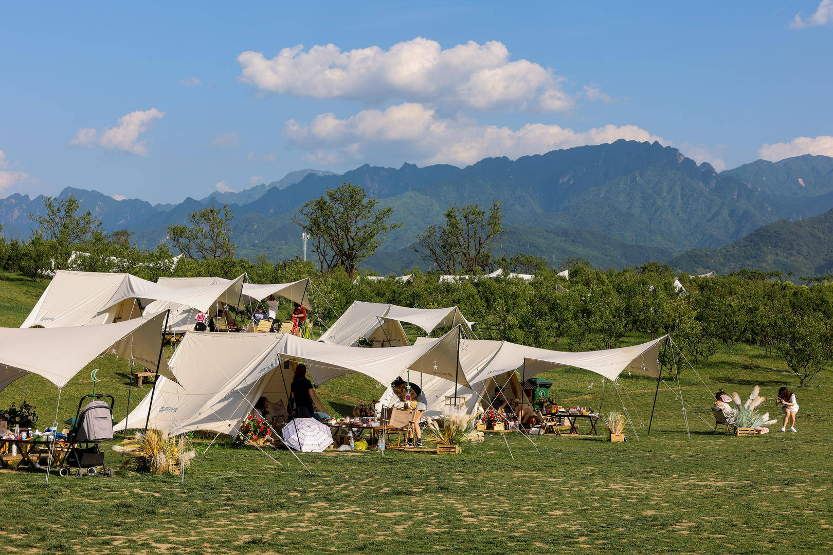 皇冠信用网会员开户
_原价499元的天幕现在卖148元皇冠信用网会员开户
,二手平台现露营装备低价甩卖