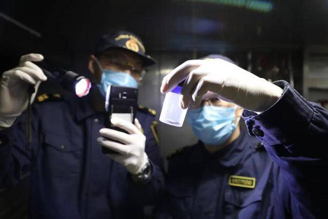 皇冠信用在线开户_大连港湾海关关员在入境船舶中查获德国小蠊500余只