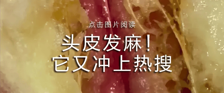 皇冠信用網占成代理_疯传“广东一学校闲置多年皇冠信用網占成代理，即将开学”，最新消息！