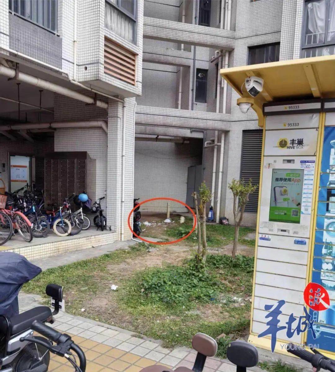 皇冠信用網怎么申请_广州一清洁阿姨被天降玻璃瓶砸中皇冠信用網怎么申请，血流不止！小区物业：尚未找到肇事者