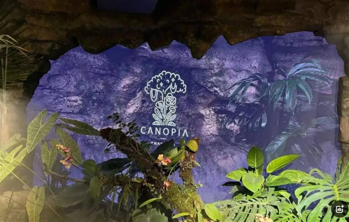 奇幻赛事_用大象粪便做甜品的餐厅奇幻赛事，因违反《食品安全法》被立案调查