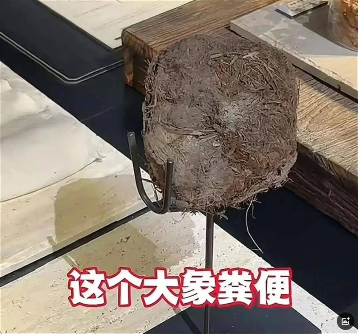 奇幻赛事_用大象粪便做甜品的餐厅奇幻赛事，因违反《食品安全法》被立案调查