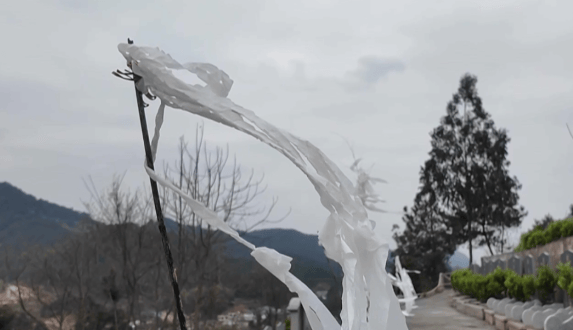 皇冠信用網登1,登2,登3出租
_贵阳一男子到公墓祭奠亡妻皇冠信用網登1,登2,登3出租
,却发现骨灰竟然不见了!得知真相后,他心酸又无奈......