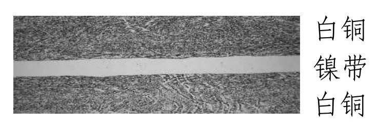 如何注册皇冠足球代理_中国人民银行定于4月15日起陆续发行海南热带雨林国家公园纪念币