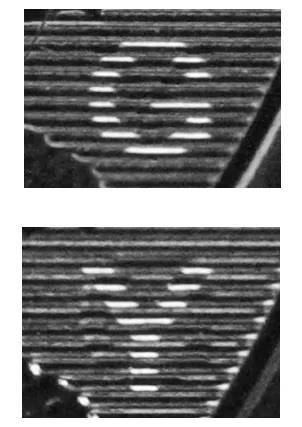 如何注册皇冠足球代理_中国人民银行定于4月15日起陆续发行海南热带雨林国家公园纪念币