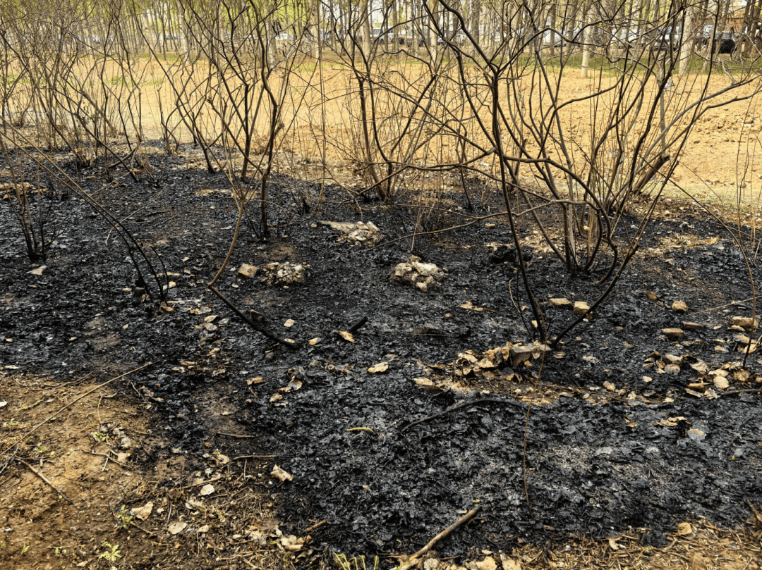 如何申请皇冠代理
_手太欠!北京警方:林某某(18岁)如何申请皇冠代理
,拘