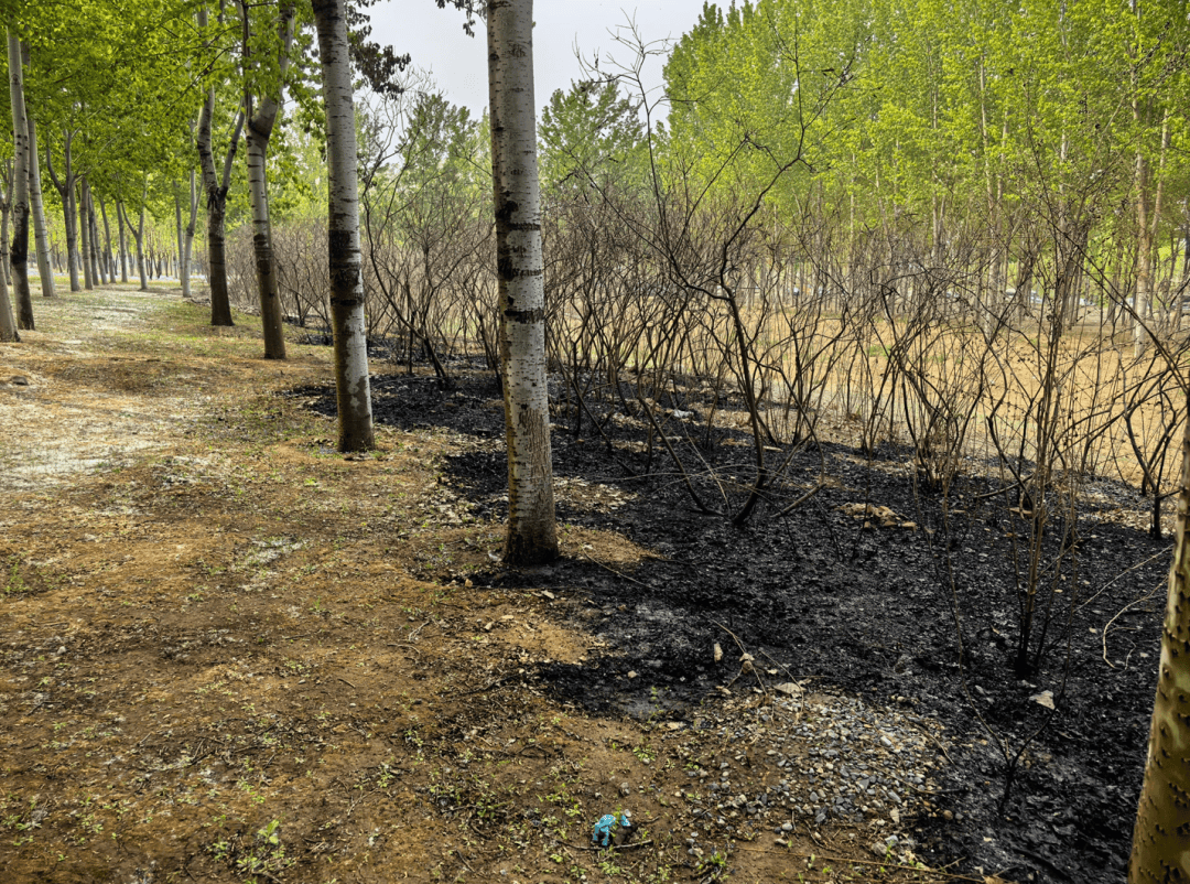 如何申请皇冠代理
_手太欠!北京警方:林某某(18岁)如何申请皇冠代理
,拘