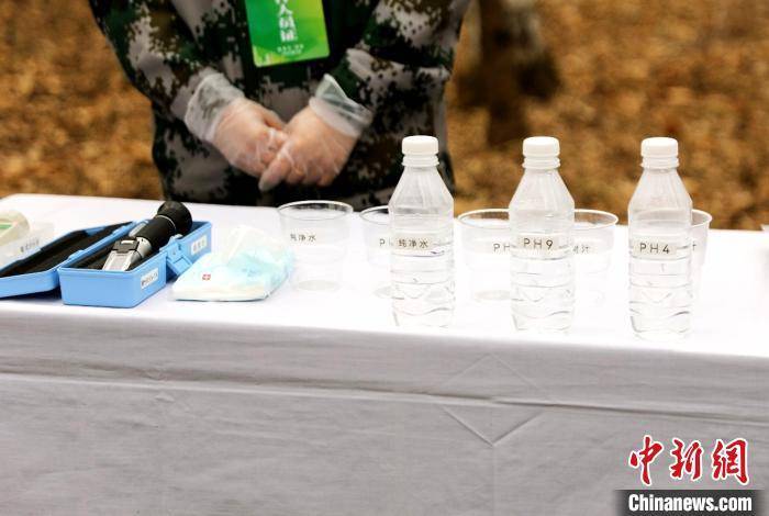 皇冠信用盘代理申请
_黑龙江:今年预计采集20万吨桦树汁 带动林区增收超4亿元