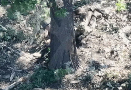 皇冠信用网登3代理_数十名俄军吞枪自杀皇冠信用网登3代理，多名女兵被炸死！用枪爆头会有痛苦吗？