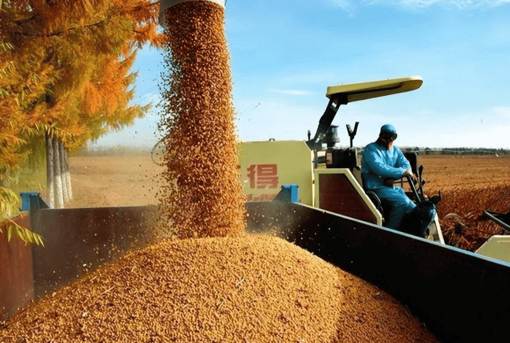 hga010怎么注册账号_对华出口下降70%！特朗普大打出手hga010怎么注册账号，没想到第一个倒下的竟是自己人