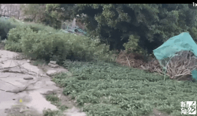 hga035会员注册
_存在8年无法去除hga035会员注册
!沪一小区居民犯愁:阵阵恶臭……怎么办?