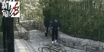 皇冠信用盘在线申请_太猖狂！事发上海迪士尼皇冠信用盘在线申请，7人被刑拘