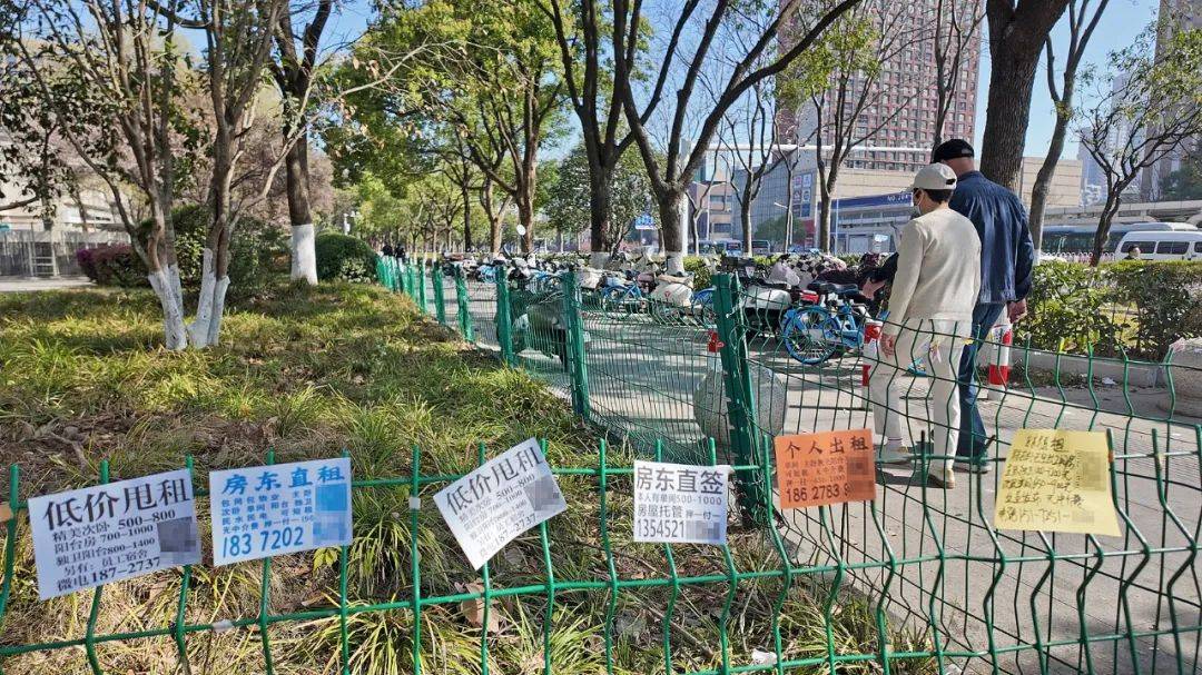 皇冠信用盘代理申条件_一二线城市房租普降皇冠信用盘代理申条件，房东主动降200留我