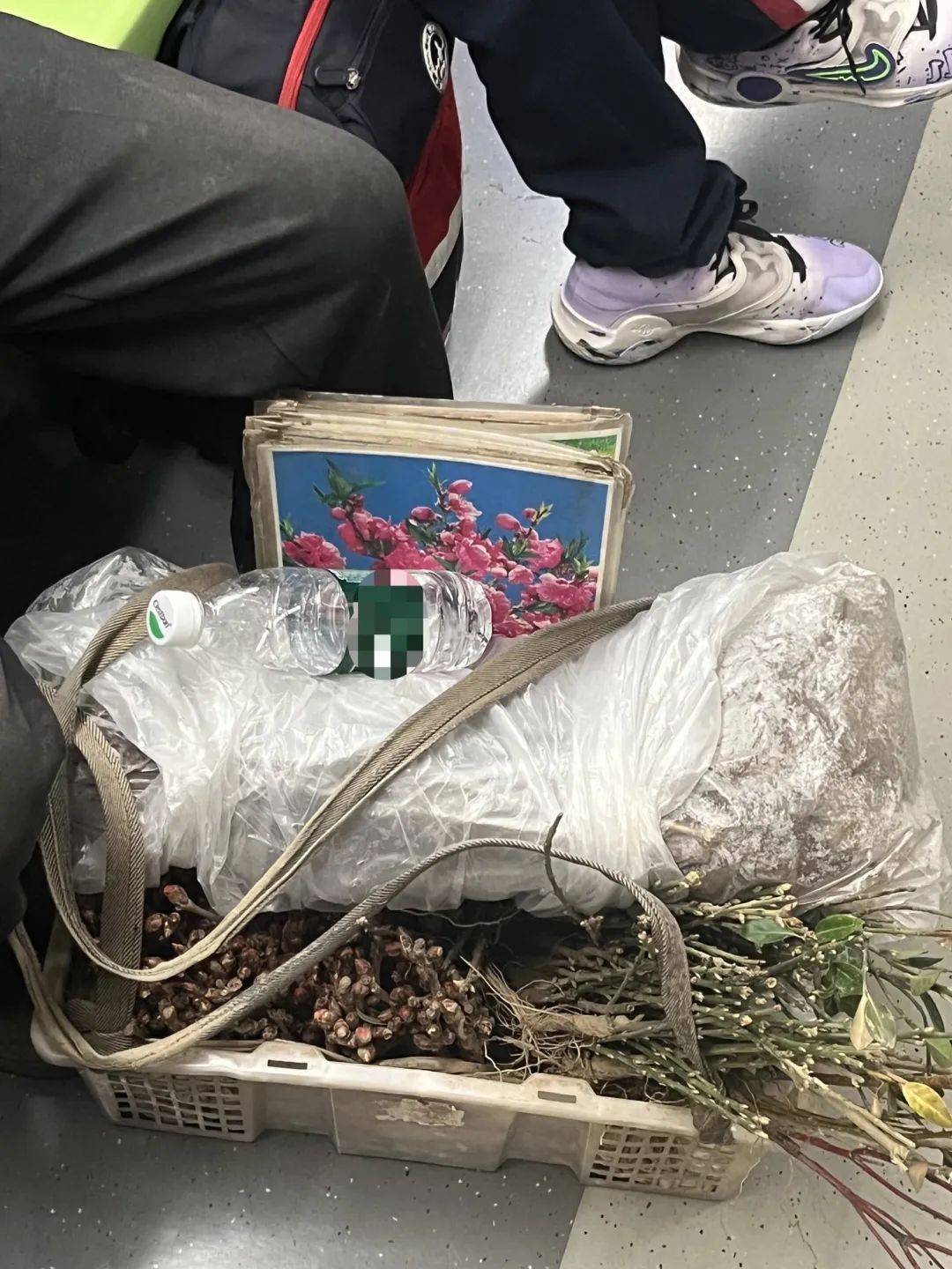 皇冠信用盘注册开通
_北京地铁皇冠信用盘注册开通
,永远欢迎沾着泥巴的普通劳动者!