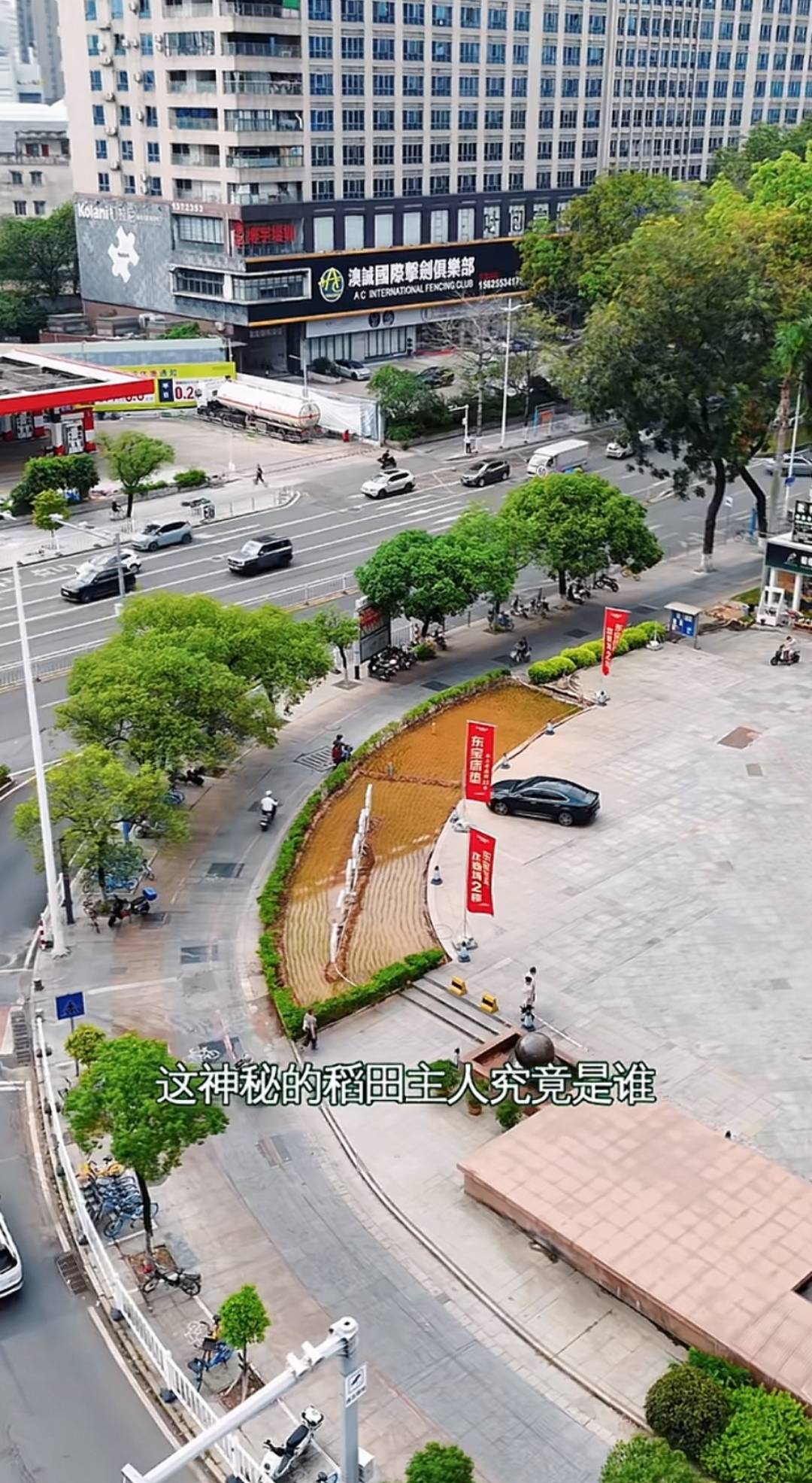 皇冠信用登2代理网址
_谁种的?东莞闹市区绿化带惊现水稻皇冠信用登2代理网址
,网友化身福尔摩斯来探案,家居广场:商户提的建议