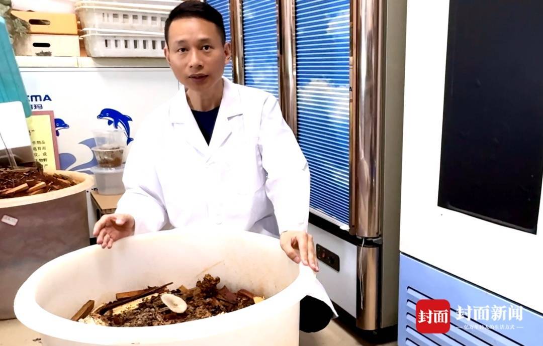 信用盘如何申请_价格腰斩信用盘如何申请！四川人即将实现鸡枞菌自由