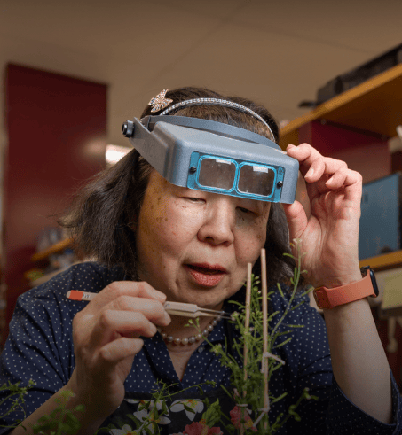 皇冠信用盘平台出租
_95岁屠呦呦皇冠信用盘平台出租
,当选美国科学院外籍院士