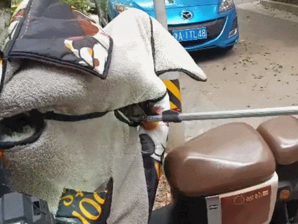 皇冠信用盘代理流程_低头一看皇冠信用盘代理流程，杭州小伙“魂都吓飞了”！正处于活跃期，消防重要提醒