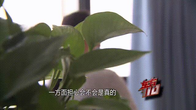 皇冠信用出租_37岁痴情女子倾尽百万泡面果腹仍坚持转账：帮皇冠信用出租他有种使命感