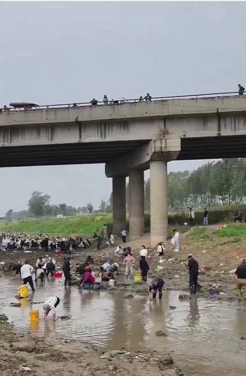 皇冠信用网代理流程_河南浚县一处河道内众人捞金？当地辟谣：捞的是花甲皇冠信用网代理流程，已劝离捕捞客